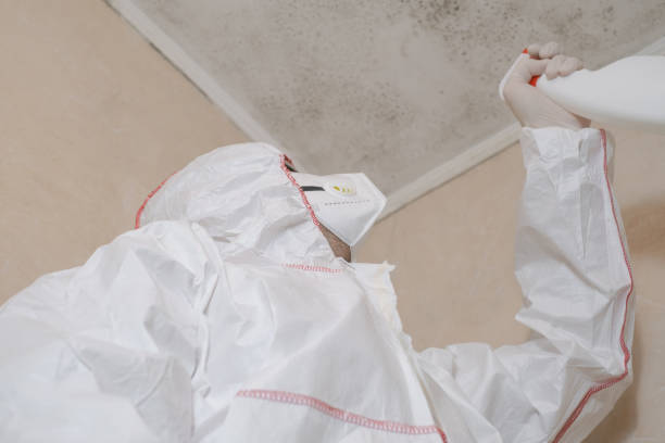 Best Mold Removal Specialists  in Greenville, TX